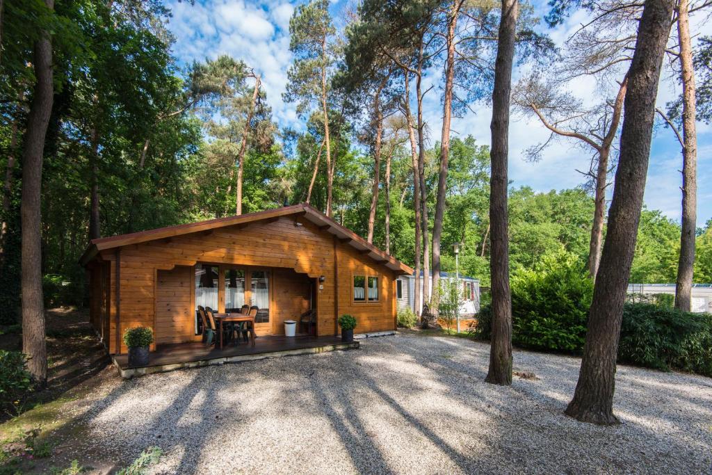 Bospark De Brenkberg Schinveld Cameră foto