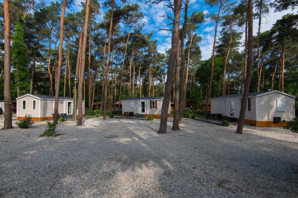 Bospark De Brenkberg Schinveld Cameră foto