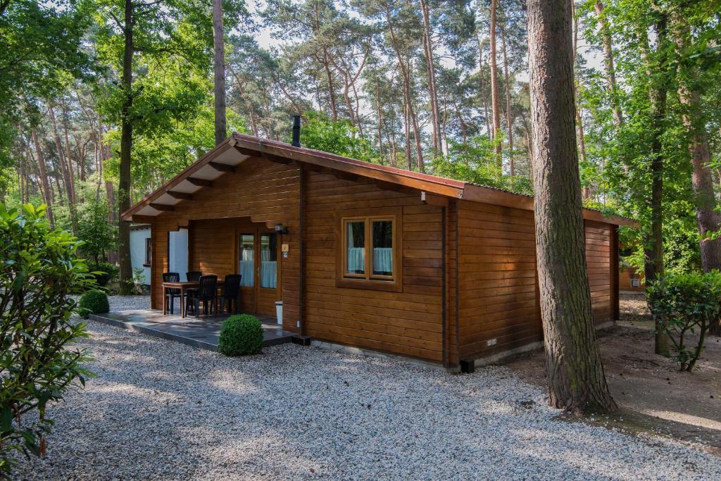 Bospark De Brenkberg Schinveld Cameră foto